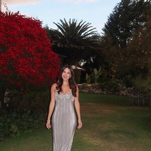 Lovers + Friends Silver Maxi Dress